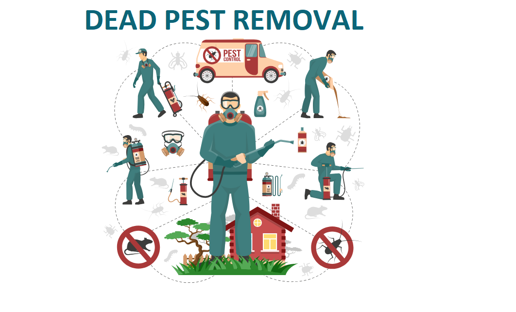 Dead-pest-removal-3-1